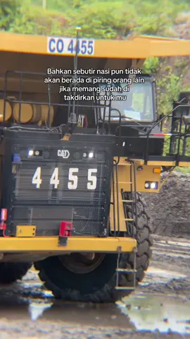 #pesonatambang #kulitambang #tambangkalimantan #duniatambang #fypシ゚ 