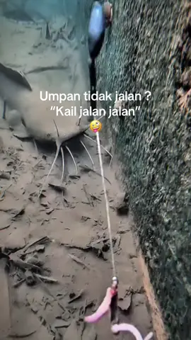 Sepur-sepur an ae 🤪 #rilislelejawatimur #rilisanlele #rilislelemojokerto #kpGPfishing #rilislelemalang 