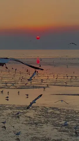 หน้าสุดท้ายของปฏิทิน #เทรนมาแรงวันนี้ #เธรดความรู้สึก🖤🥀 #เพลงลงสตอรี่ #เพลงบอกความรู้สึก #ตากอากาศบางปู 