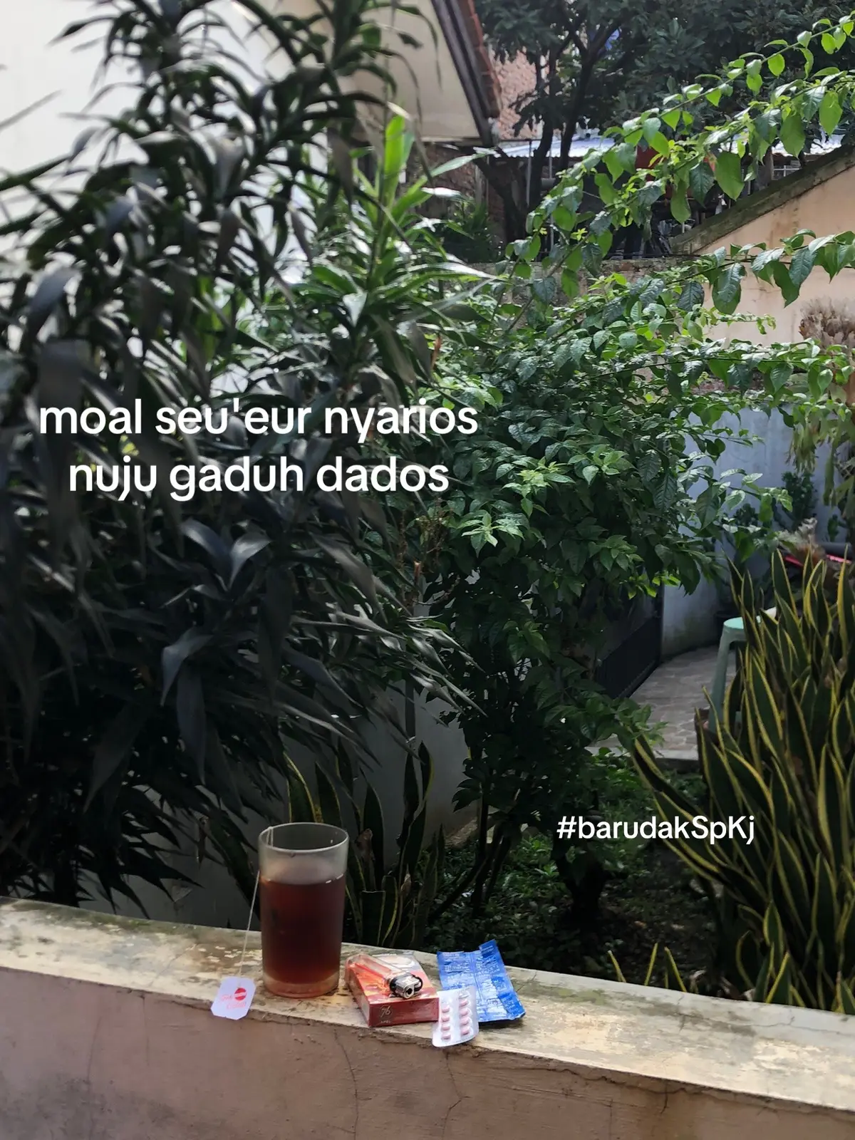 jongjons hyruphh #fypage  #fypp #dados 