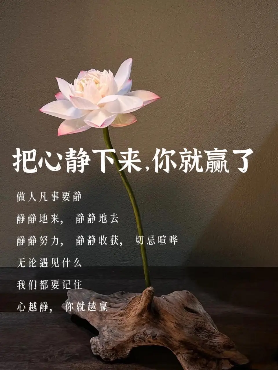 把心靜下來，你就贏了|||[種草R] 做人凡事要靜 靜靜地來，靜靜地去 靜靜努力，靜靜收穫，切忌喧嘩 無論遇見什麼，我們都要記住 心越靜，你就越贏 [種草R] 生活中的很多事情 都有其規律可尋 當你迫切期待某個結果時 卻往往事與願違 因此你焦慮，緊張 更甚者失去對局面的控制 然而 這種心態會直接影響你對事物的判斷能力與決策 反而，當你放下期待 平心靜氣理智的去思考事物 事情反而有了意想不到的轉機 [種草R] 你越是靜，反而越從容 也只有在冷靜的狀態下 安住自己，分析利弊，才能解決問題 萬事從心起，看淡一身輕 很多時候困住我們的不是事物本身 而是你的心 「心如猿猴，意如奔馬」 念頭紛飛時，智慧便被遮蔽 [種草R] 王陽明曾說: 「心是身體的主宰，心定則萬事可成。」 當內心靜水深流 外界的紛擾便成了過眼雲煙 心靜下來 你整個人都會變得柔軟而平和 能量滿滿，內核穩定，自然吸引力越來越強 遇到的人也越來越優秀 精神鬆弛了，做事自然事半功倍 [種草R] 在這個多元時代 人人追逐捷徑 但真正的答案往往藏在「靜」中 心靜是一種不動聲色的力量 這世間萬般皆苦，只可自渡 我們需要心平氣和的去面對生活 即便不能得償所願 也要心懷溫柔的接納，允許一切 身有清泉，方能洗滌塵世的紛擾 心納萬象，方能包容世界的寬廣 [種草R] 若想成為贏家 不妨先向內看，向內求 心定了，靜了，路自然就通了 願你我都能擁有這樣的心境 在俗常的日子里 不為世俗惑，不被繁華迷，不由浮躁控 行安閒之事，遣有涯之生 #做自己 #情緒 #文字的力量 #拒絕焦慮 #情感共鳴 