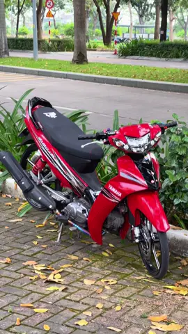 Công viên amata liệu anh em có biết đến chiếc này🥲📸#siriusđộkiểngviệtnam🇻🇳 #xuhuong #sirius110độkiểng #60dongnai #biênhòa 