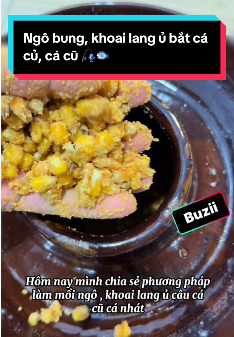 #MeuEstiloHRV Cách làm mồi câu cá bằng ngô bung, khoai lang ủ siêu hạt rẻ mà hiệu quả #moicauca #cauca #caucagiaitri 
