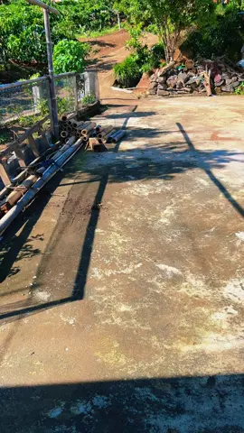 Menikmati pagi yng cerah sabari dengerin kosida🏞️ #hehe #fyp #fypシ゚#viral🖤tiktok 