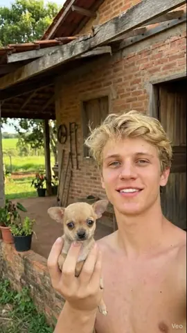 Nosso cachorrinho 💚 