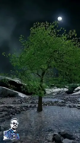 #foryou #foryoupage #trending #tamilsong #thahir219 @tiktok creators 