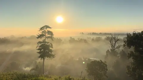 ဥပေက္ခာဆိုတာပေးသူထက် ယူတဲ့သူကသင်ပေးလိုက်တဲ့ပညာ'' ဘယ်သူဖြစ်ဖြစ် ခင်ပြီဆို စိတ်ရင်းနဲ့ခင်လိုက်ရမှ... ဘယ်သူ့ကိုမဆို သူ့နေရာမှာ ကိုယ်သာဆိုတဲ့ ကိုယ်ချင်းစာတဲ့စိတ် လေးထားလိုက်ရမှ... ဘယ်လိုအဆင့်အတန်းရှိရှိ(ကြီးကြီး၊ငယ်ငယ်) ကိုယ့်ဘက်က မှားနေရင် ပြန်တောင်းပန်လိုက်ရမှ... ဒါပေမဲ့... ဘယ်သူပဲဖြစ်နေပါစေ ကိုယ့်ကိုဂရုမစိုက်ရင် ကိုယ်ဘက်ကလဲဥပေက္ခာပြုဖို့အဆင့်သင့်ပဲ.... တဖက်သက်ကြီး ကိုယ့်ဘက်ကအမှားမရှိပဲ... နောင်တတော့ရမနေဘူး... သင်ခန်းစာတော့အရယူသွားလိုက်တယ်... အဲ့ဒါက ဥပေက္ခာ နဲ့ထိုက်သူအတွက် ဥပေက္ခာ ပေးတက်ပြီး... မေတ္တာနဲ့ထိုက်သူကိုမေတ္တာပေးတက်လာခြင်းပဲ... ဘဝမှာကိုယ်ကမှားနေရင် သူတောင်းစားဖြစ်နေပါစေ တောင်းပန်ဖို့ဝန်မလေးသလို... အရှင်ဘုရင်ဖြစ်နေပါစေ... ကိုယ့်ဘက်ကမှန်နေရင်... ဂရုစိုက်နေမှာမဟုတ်ဘူး... တောင်းပန်တတ်ခြင်းက... ယဉ်ကျေးမှု တစ်ခုဆို... ဂရုမစိုက်တတ်ခြင်းကလဲ အနုပညာတစ်ခုပါပဲ.... #Crd #shinbweyang 