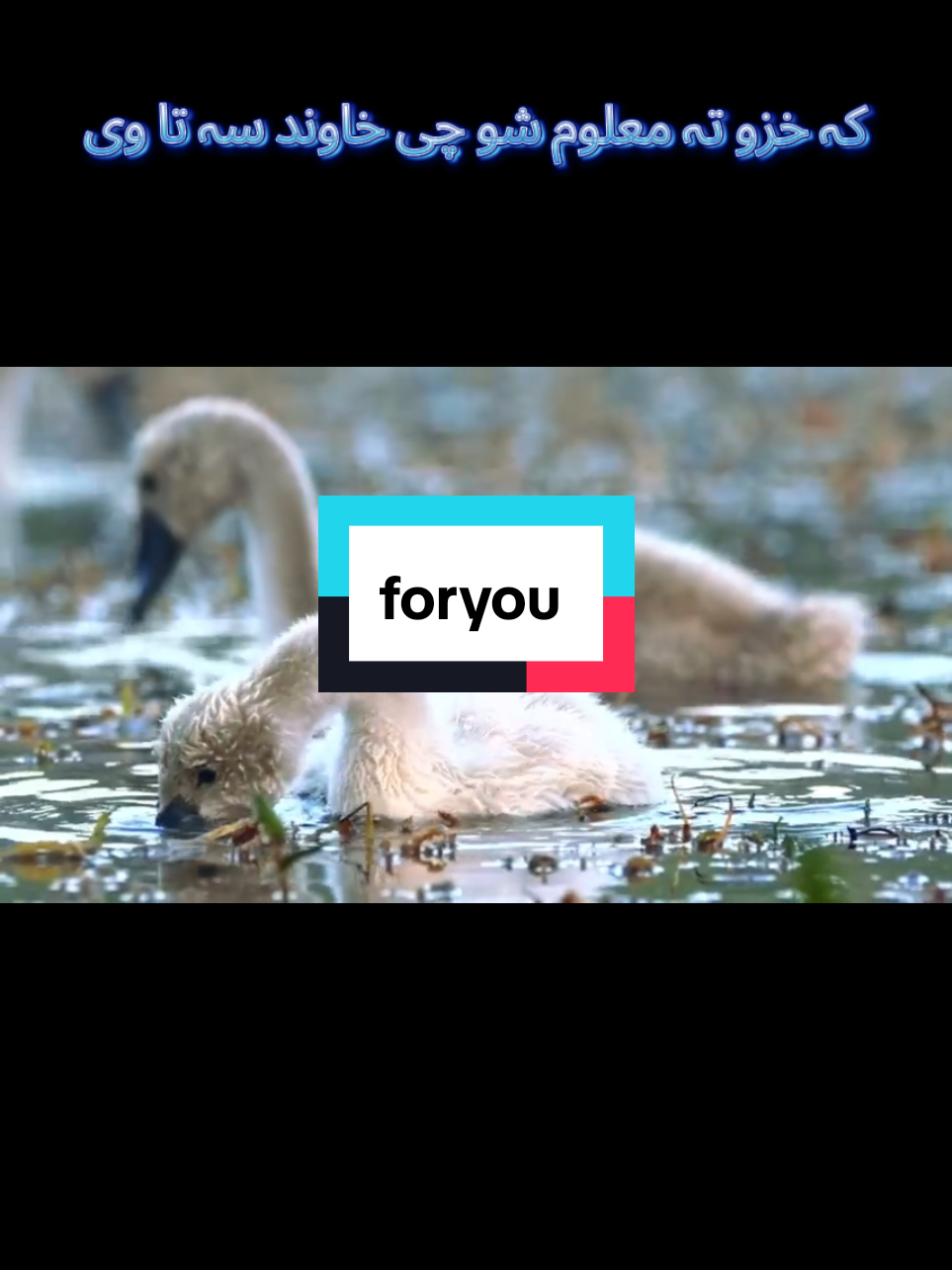 کہ خزو تہ معلوم شوا#islamic_video #صلي_علي_النبي #pasthobayan #foruyou #fyp 