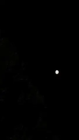 #palistnian #💔 #fyp #foryou 