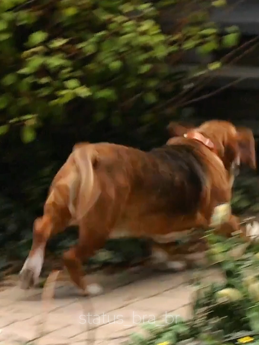 #filme #cortesdefilmes #cortes #triste