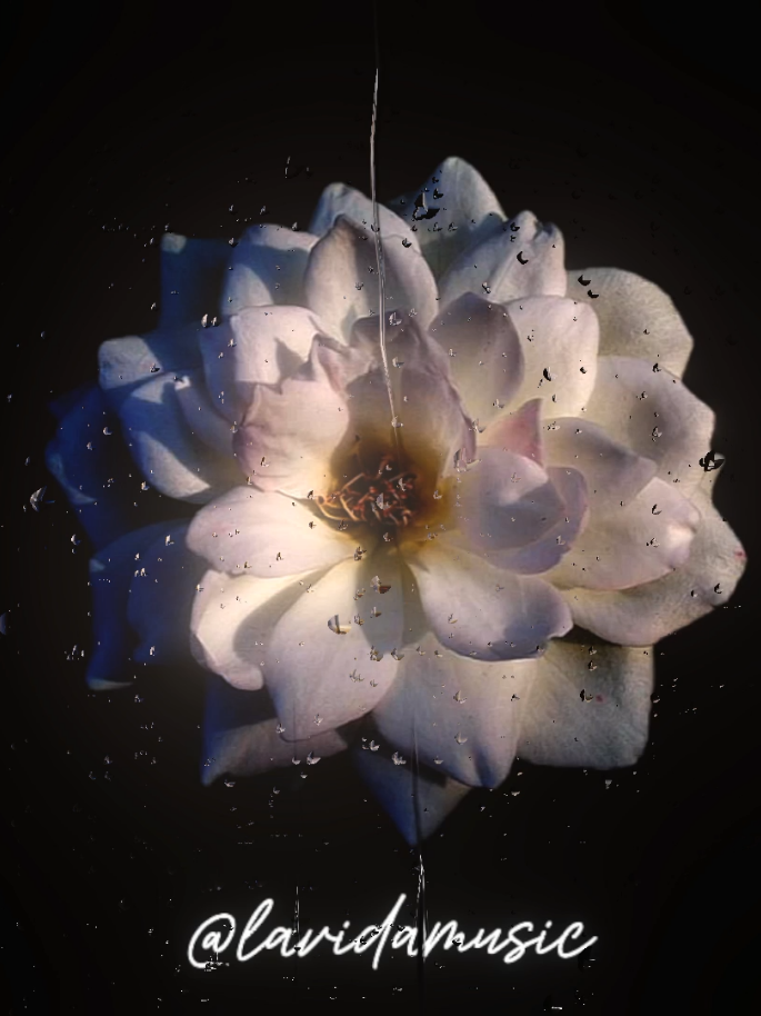 Under The Influence #lyrics #song #music 