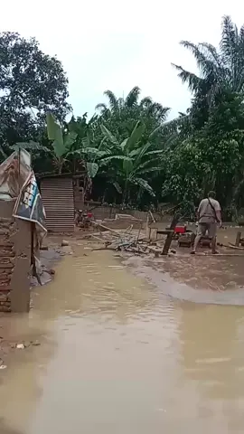 Yang Sabar Dek...Alloh bersamamu Dek...Ada apa dengan Hutan Kita Ya Alloh #banjir #sumaterabarat #banjirbandang #banjir2025 #lindungihutankita 