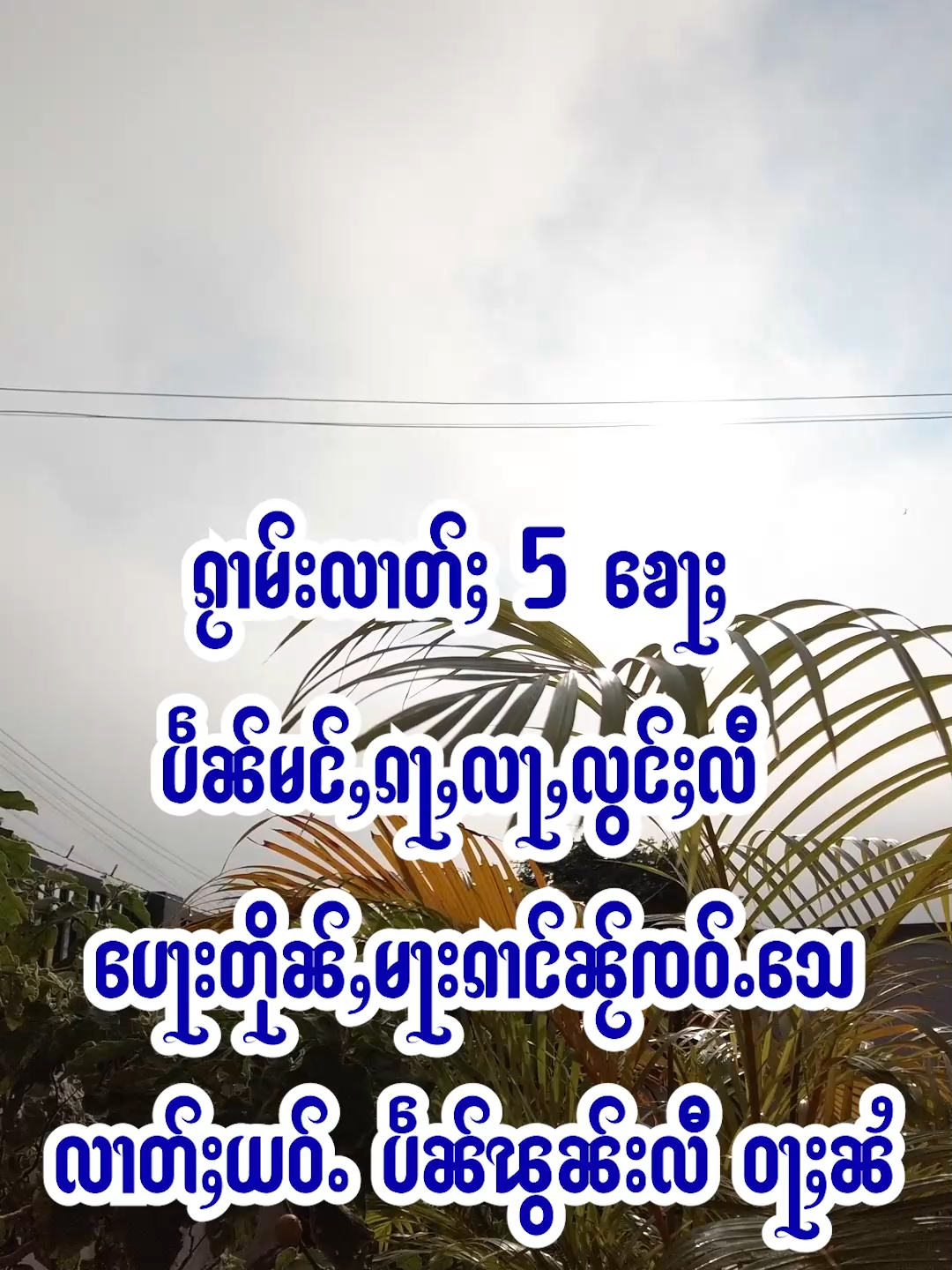 ၵႂၢမ်းလၢတ်ႈ 5 ၶေႃႈ ပဵၼ်မင်ႇၵႃႇလႃႇလွင်ႈလီ ပေႃးတိုၼ်ႇမႃးၵၢင်ၼႂ်ၸဝ်ႉသေလၢတ်ႈယဝ်ႉပဵၼ်ၽွၼ်းလီ ဝႃႈၼႆ