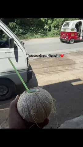 Te amaré en silencio ❤️#elloboylasociedadprivada #cumbiaperuana🇵🇪❤️ #selvacentral🌴💚 #contenido #chichaperuanazape😎🇵🇪🎤🎶🤩♥️ 