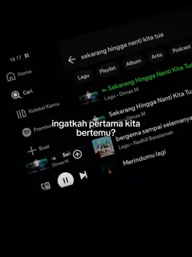 dejavuu. #lyrics #liriklagu #sekaranghingganantikitatua #fyp #spotify 
