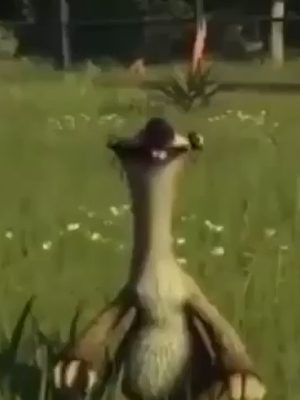 Bora tomar uma #reels #memestiktok #memesbr #meme #instagram #memes #engraçado #fy #fyp