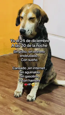 #paratiiiiiiiiiiiiiiiiiiiiiiiii #foryoupage #todoss #fypシ゚ 