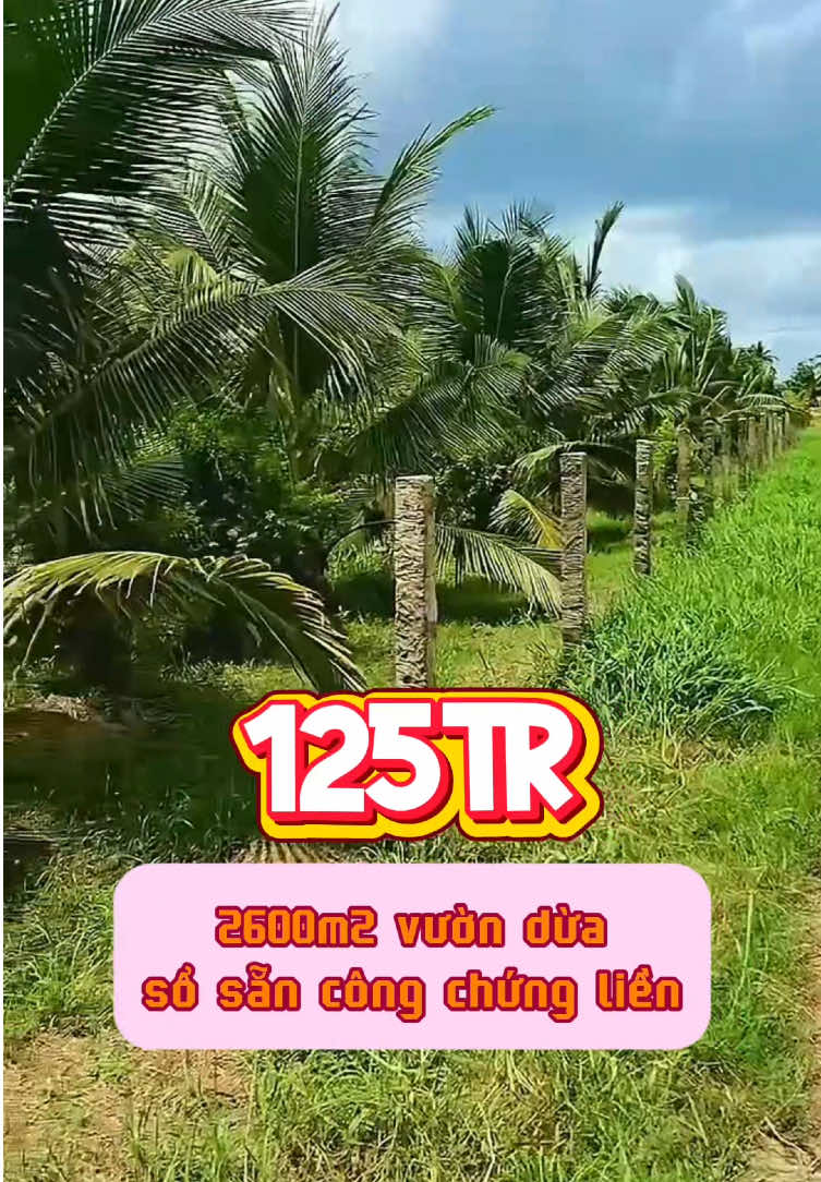 LH:O9.7/1/.8/90.71/0#datngopbinhduong#bdsgiare#nhavuon#datngop#bđsgiátốt