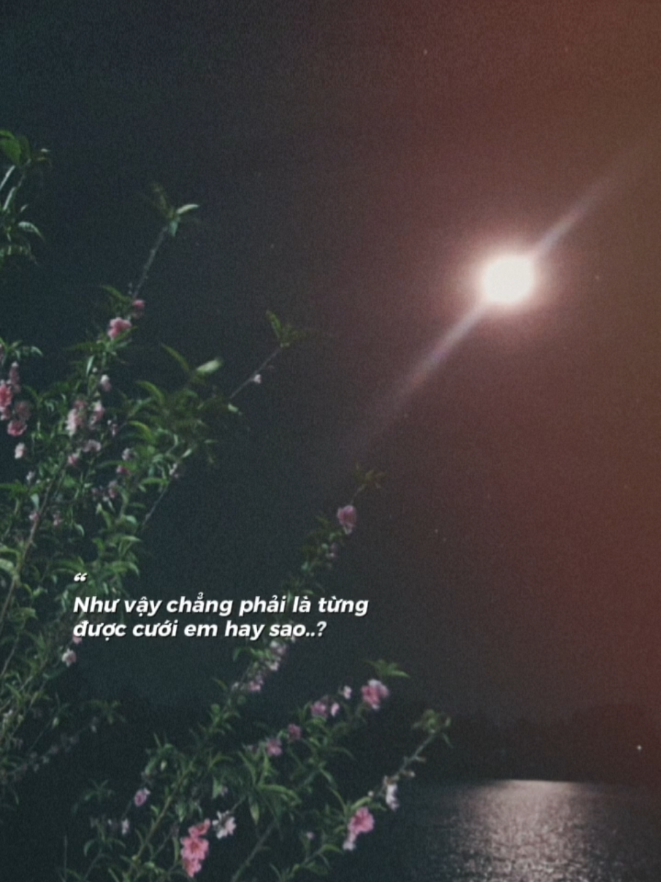 Ngắm Em lúc xinh như mơ😊 #hoadaodep #viewho #fypage 