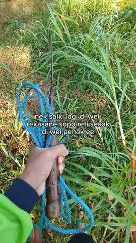 andhap asor jiee#foryou #xybca #fyp #peternaksapiindonesia #peternakmuda 