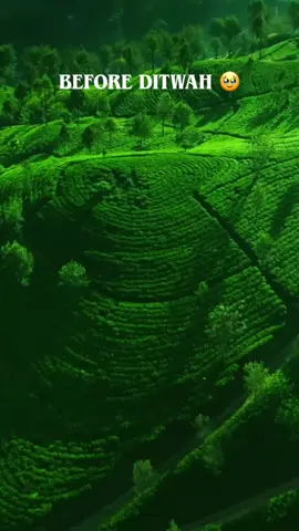 Even in our darkest moments, Sri Lanka rises. 🇱🇰✨ Together we rebuild, together we heal🥹♥️ #mycountry #srilanka #2025 #ditwah #kavindyasewwandi 