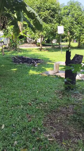 #foruoy #foryoupage #trending #viralvideo #tiktok 