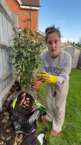 พูดดีๆนะกระถินพูดผิดความหมายเปลี่ยนเลยนะ