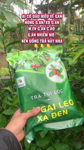 Có vấn đề về gan thì mn tham khảo trà cà gai leo xạ đen này nha#tracagaileo #traxaden #tracagaileoxaden #trathaoduoc #trathiennhien 