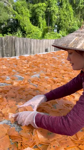 #vuicungtiktok❤️cuộcsốngthườngngày                            #Những Món Đặt Sản  Nổi Tiếng Của Quê Em.