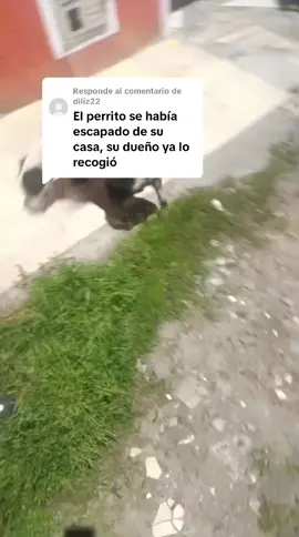 Respuesta a @diliz22 