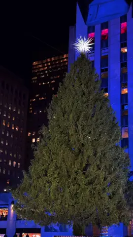 The Rockefeller Center Christmas tree🎄✨🥹 #rockefellercenterchristmastree #rockefellercenter #rockefeller #christmasinnewyork #nycchristmas     