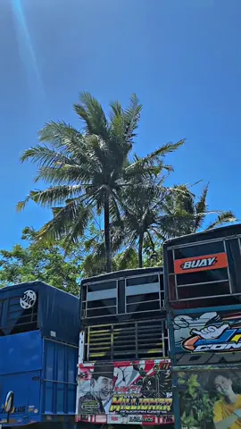 Bocah lanang wayahe adu gensi #bondowosocepat🌶 #krodong_mania_indonesia #fyp #fypシ #truckmbois 