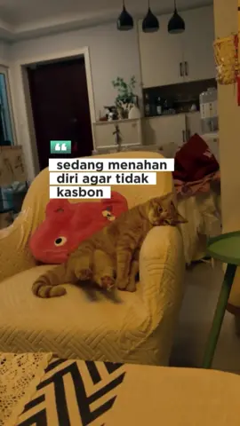 #CapCut tanggal segini duit dah habis. #katakata #storygabut #storywa #lewatberanda 