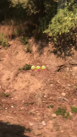 #🤣🤣🤣🤣🤣🤣🤣🤣🤣🤣🤣🤣🤣🤣🤣🤣 