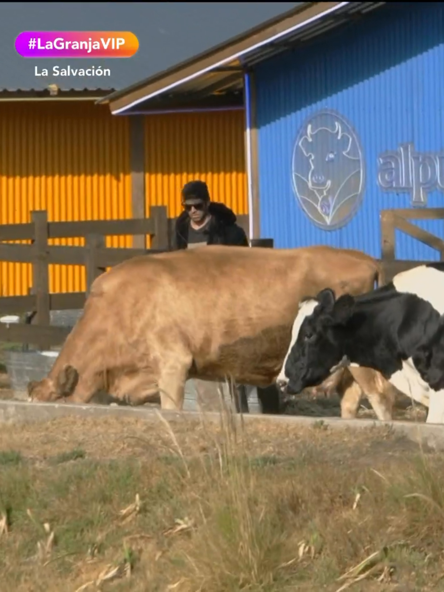 ¿Será que #SergioMayerMori esté abusando de su pie lastimado para no hacer nada? 🫣 📺 #LaGranjaVIP EN VIVO AHORA 🐮 Lunes a viernes 9:00 p.m. por #AztecaUNO Domingo La Gala 8:00 p.m. por Azteca UNO. 🌾 Transmisión 24/7 en #DisneyPlus, experiencia completa.