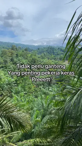 #fyp #sawitontiktok #petaniindonesia🇮🇩🇮🇩🇮🇩🌿🌿 