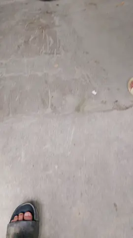 tối qua huyện TC. có samurai múa kiếm cực đét 🔥 còn 2 xe vs 1 chiếc ip12 vẫn chưaaa lấy đc . ea muốn bt rõ thì đợi phần 2 nha #xghunggggggg #xhtiktok #xh #xuhuong 