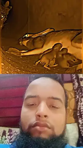 #duet with @RESPECT❤️‍🩹 #hapy কোন প্রাণীকে মারা ঠিক না তবে হিংস্র প্রাণীরা বুঝে না 😰০৫।১২।২০২৫