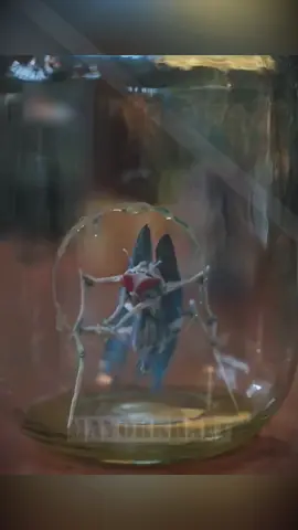 #фильм #pekomeндации#tiktok #fyp#movie