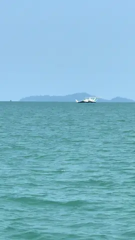 Jgn kata job kapal je..job kapal terbang pun sy sapu…😅😅 terima kasih kongsi rezeki….#Boronhunter #Thisiispontian #Fightfulldrsg #fyp