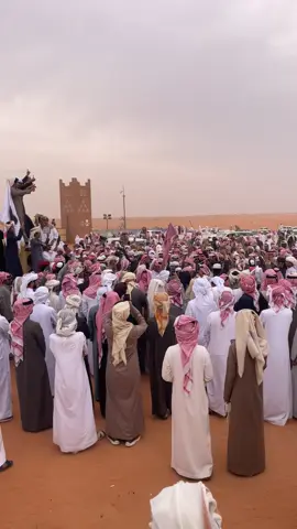 #براك_الحراجين #مداويات_الدواسر #مهرجان_الملك_عبدالعزيز_لمزاين_الابل10 #explore #الدواسر #وادي_الدواسر 