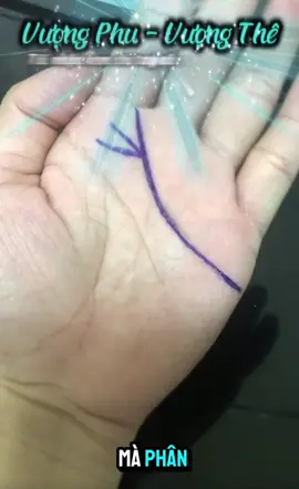 [Phần153]Chỉ Tay Vượng Phu Thê#luangiaichitay #xemchitay #xemtuvi #fyp #viral 