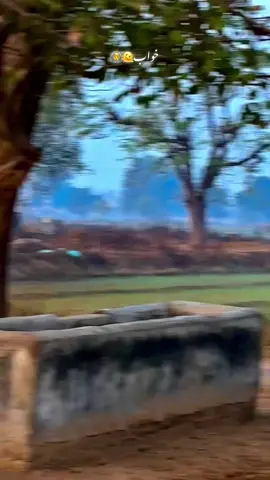 #shabanhaider1000✅🌱 #foryoupage #unfrezzmyaccount 