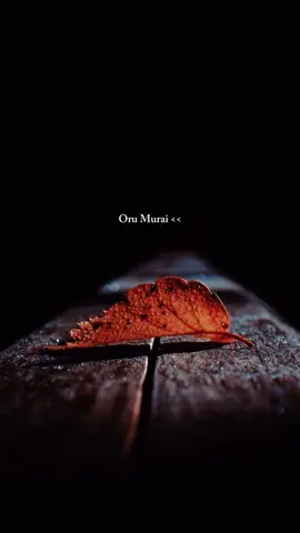 - Thaamathikkum Ovvoru  Kanamum Thavanai Murayil Maranam Nigazhum 💙🦋 #tamilsong #fyp #tamilsong #tamiltiktok #trending 