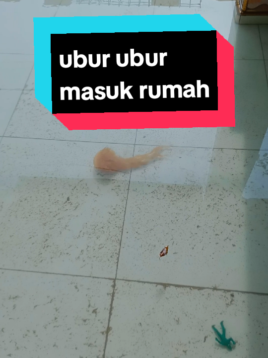 ubur ubur masuk rumah ketika banjir eretan #banjir #fyppppppppppppppppppppppp #soundviral #berandatiktok #eretan 