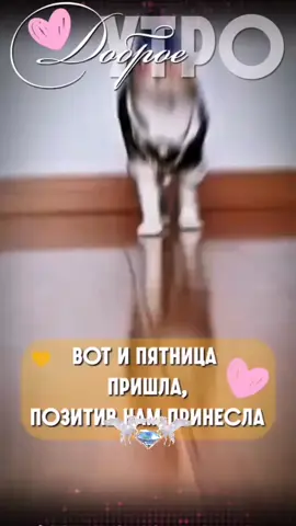 #доброгоутречкадрузьямои💕💕🍰☕🍰☕💕💕 #начинаемутроспозитива #любитедругдруга @natalianatalia_zzzzzzzzz @olga.00197 @tanialineva