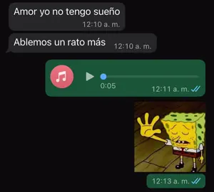 Acóstate a dormir 🗣️😭#audiosdewhatsapp #viral #meme #viraltiktok #meme 