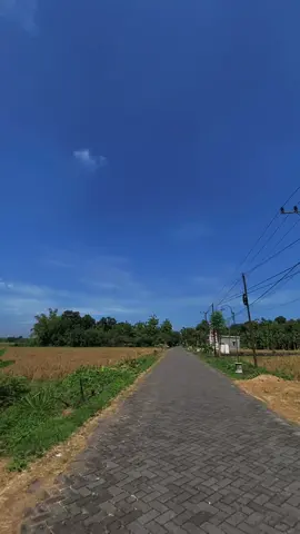 🤣#fypシ #fyppppppppppppppppppppppp #ngawi24jam 