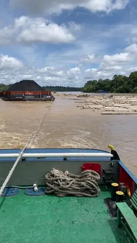 Ke cium dikit yah paman🤭🤭#storypelaut #pesungaibarito #Erina8 #pamanrakit 