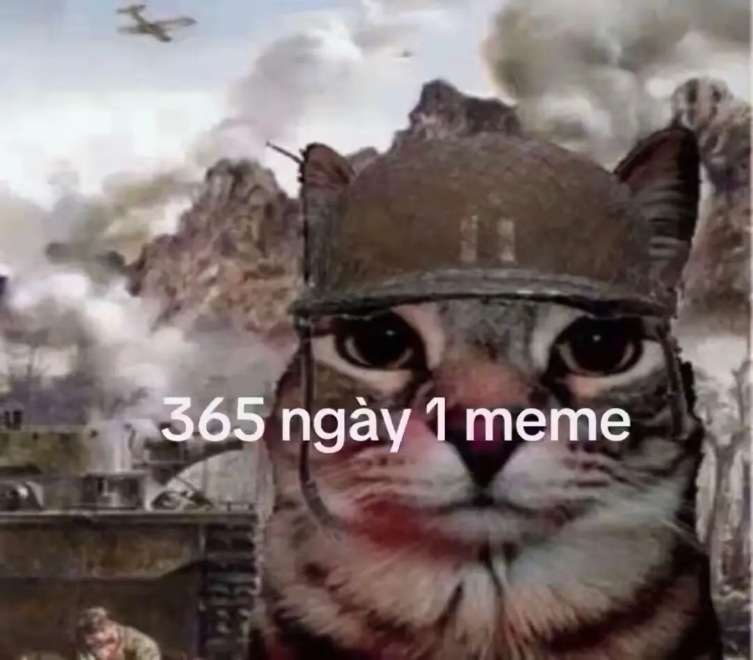 Áp lực thật,... #meme #caicamgiac #nhacnaychillphet #devuongbatbai ,...